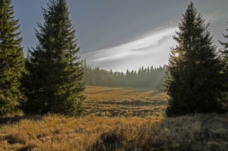 Krajina kolem Roklanského potoka