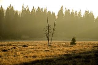 Krajina kolem Roklanského potoka