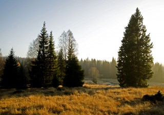 Krajina kolem Roklanského potoka