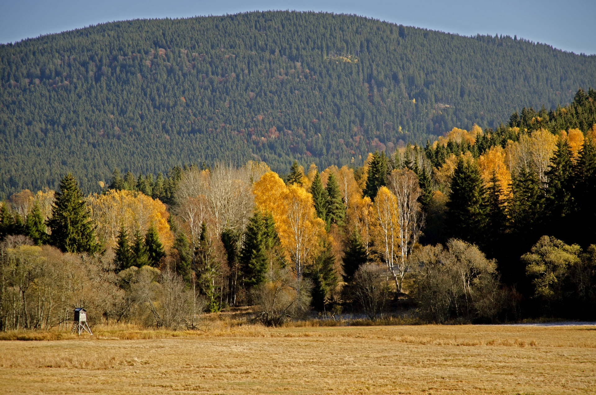 Podzimní Šumava