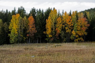 Barevná Šumava