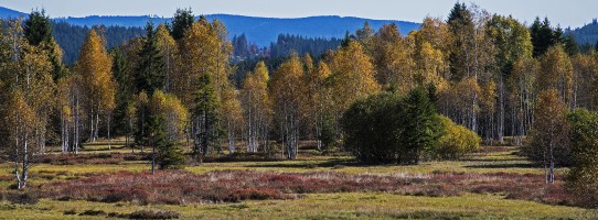 Barevná Šumava