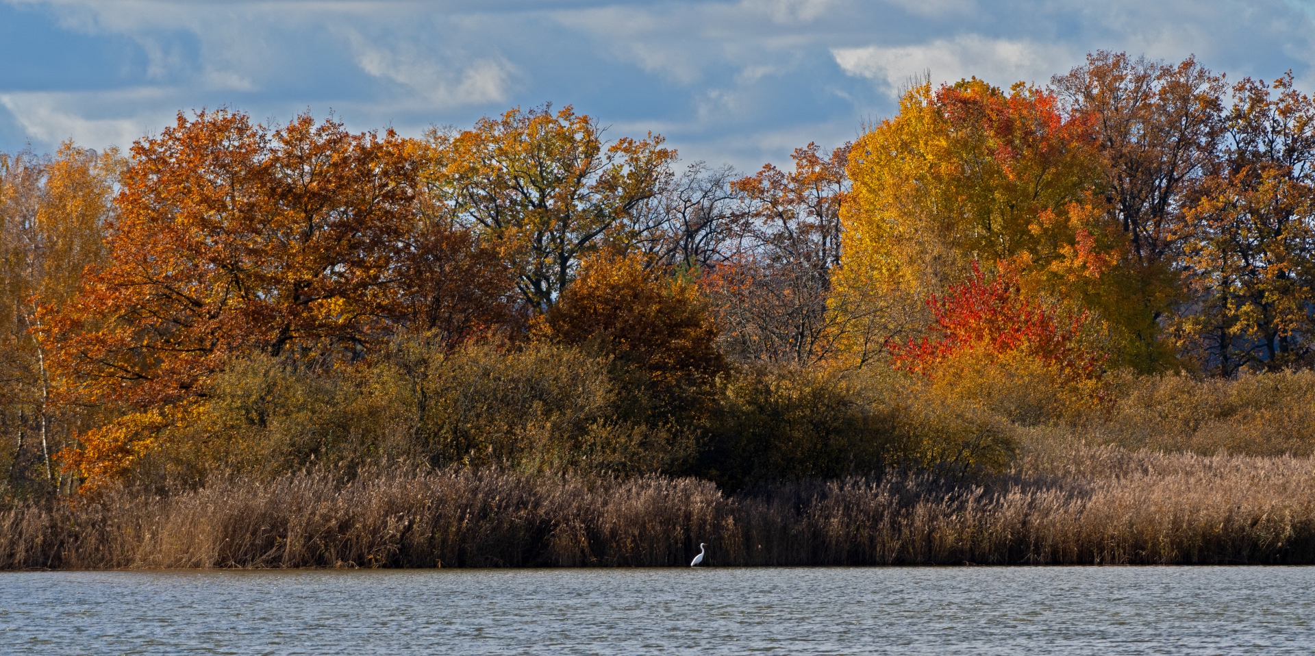 Podzimní rybník Služebný