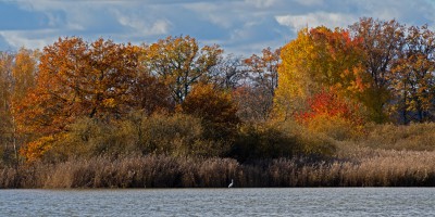 Podzimní rybník Služebný