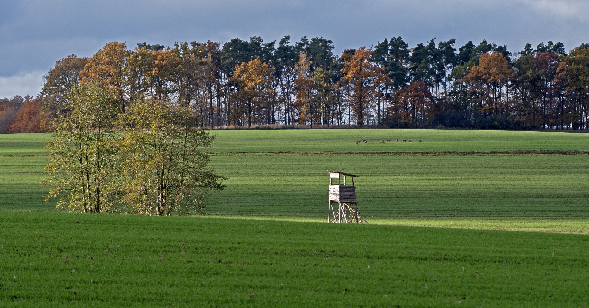 Podzimní krajina u Sedlece
