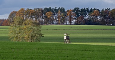 Podzimní krajina u Sedlece