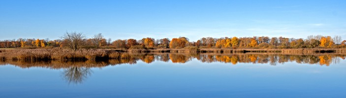 Podzim na rybníce Služebný