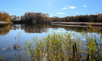 Krajina u rybníka Velký Tisý