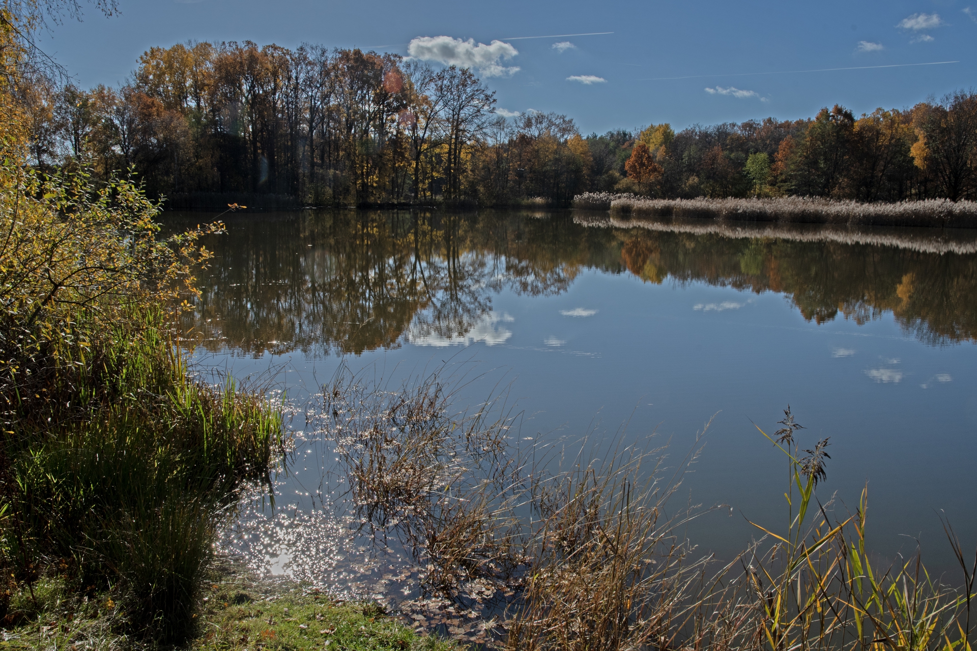 Krajina u rybníka Velký Tisý