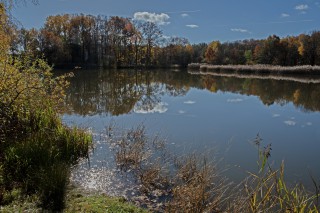 Krajina u rybníka Velký Tisý