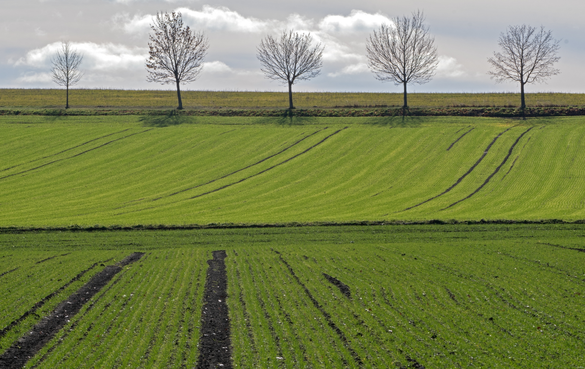Podzimní krajina u Novosedel