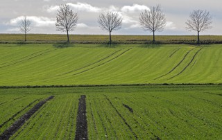 Podzimní krajina u Novosedel